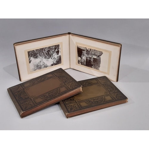 319 - Three albums containing a collection of late 19th century photographs with scenic views of the Briti... 