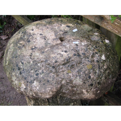28 - A weathered natural stone staddle stone and possibly associated domed cap 95 cm high approximately .... 