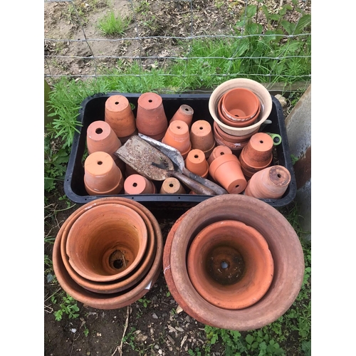 81 - A quantity of approx 50 terracotta flower pots of varying size, the largest example 30cm diameter, t... 