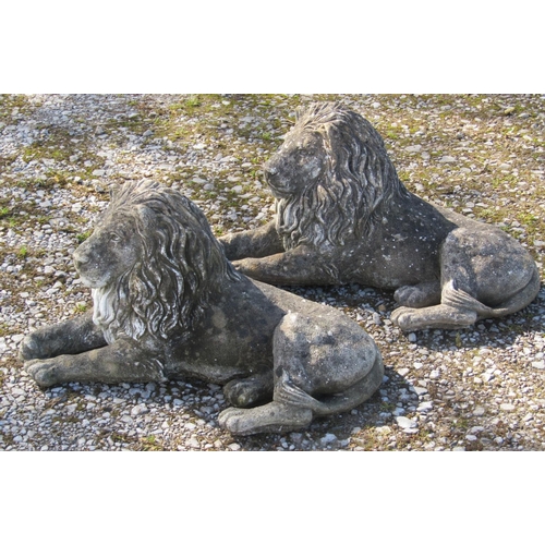 226 - A matched pair of weathered cast composition stone garden ornaments in the form of recumbent lions, ... 