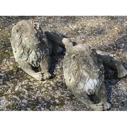 226 - A matched pair of weathered cast composition stone garden ornaments in the form of recumbent lions, ... 