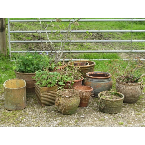 83 - A collection of weathered terracotta planters of varying size and design, (some planted)