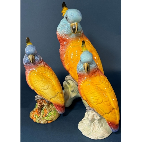 2086 - Three graduated Beswick cockatoos