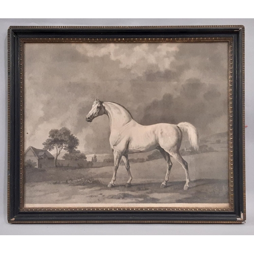 1055 - George Townly Stubbs (1756-1815) After George Stubbs (1724-1806) - Two Engravings: 'Mambrino' publis... 