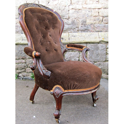 3089 - Victorian spoon back drawing room chair with upholstered seat and back, within a shaped carved and m... 