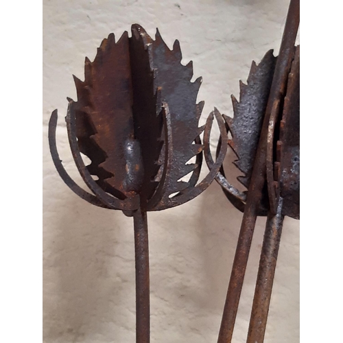 3012 - Iron work garden border stake in the form of teasels with six stems