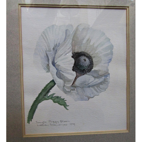 1015 - Three Watercolours by Different Artists to Include: Lillian Delevoryas - 'Single Poppy Bloom' (1979)... 
