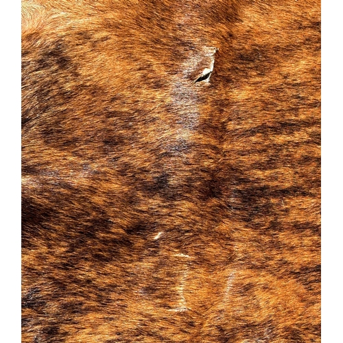 2696 - A cow hide rug/covering, branded R, with one small hole, 220cm x 180cm approx.