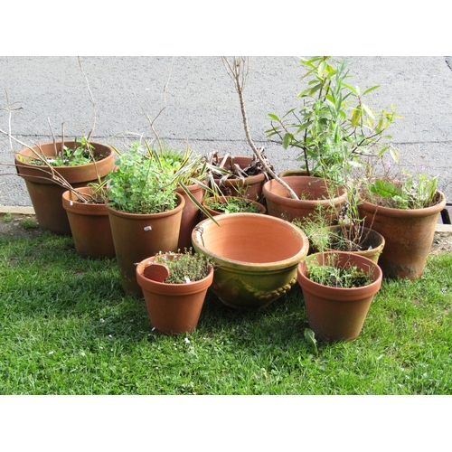 717 - Fifteen weathered terracotta flower pots and planters of varying size and design, some with relief d... 