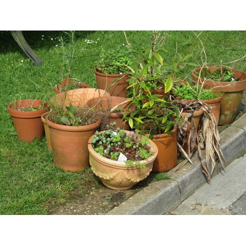 717 - Fifteen weathered terracotta flower pots and planters of varying size and design, some with relief d... 