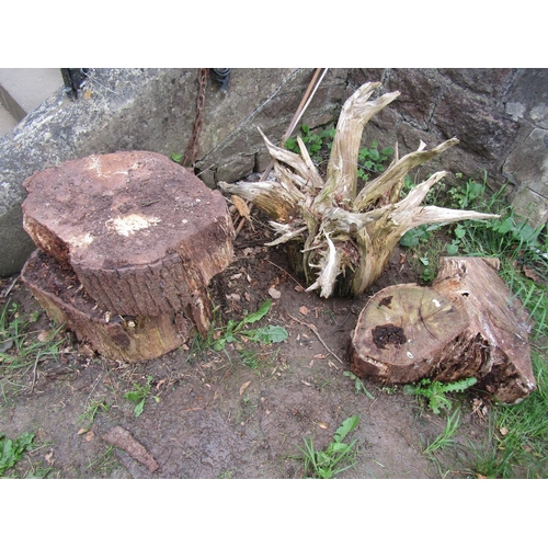 691 - A weathered sculptural tree root 3ft span approximately at widest point, together with three rough c... 