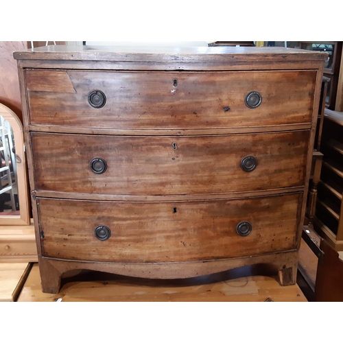 3098 - Small Regency mahogany bow fronted chest of three drawers, 91 cm wide