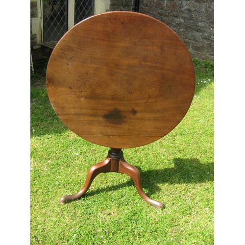 3556 - A Georgian mahogany snaptop table, the circular top 77cm diameter, raised on a tapering column and t... 