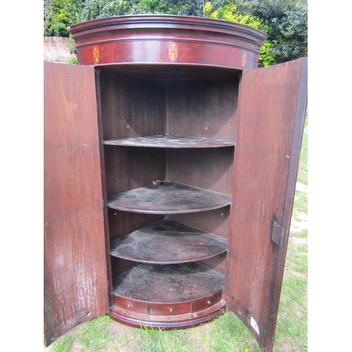 3565 - A good Regency mahogany bow fronted hanging corner cupboard with original brass fittings and inlaid ... 