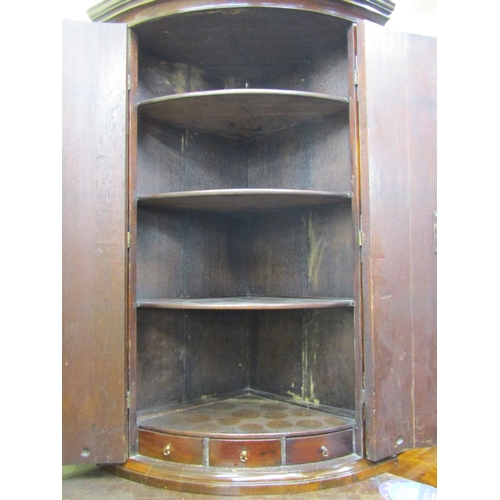 3539 - A Regency mahogany bowfronted hanging corner cupboard enclosed by a pair of well matched flamed door... 