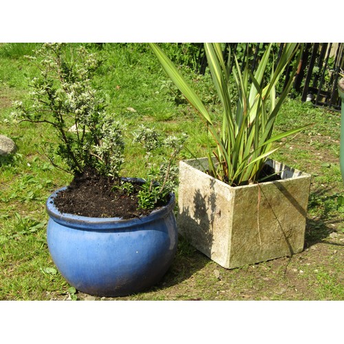 68A - A green glazed planter containing a well established yucca together with a blue glazed planter and o... 