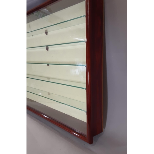 291 - Good quality wall mounted display case for miniatures/ models, in mahogany style with glass shelves.... 