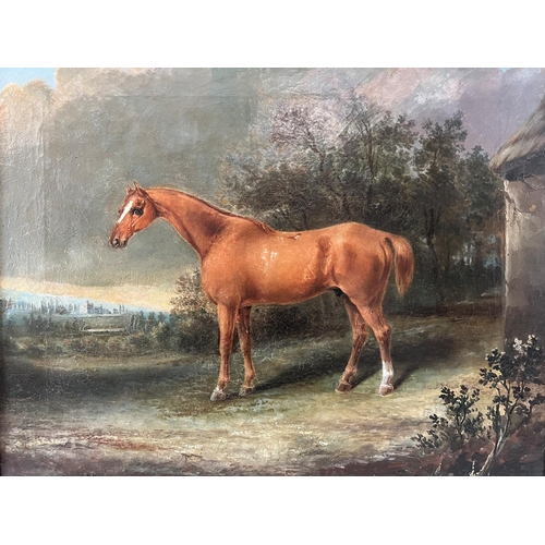 86 - English School, 19th - 20th Century - Horse in Landscape with House in the Distance, oil on canvas, ... 