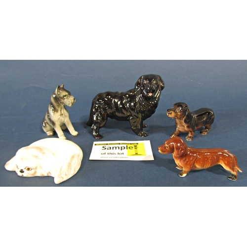 1118 - An extensive collection of ceramic dogs in various poses by various manufacturers together with a co... 