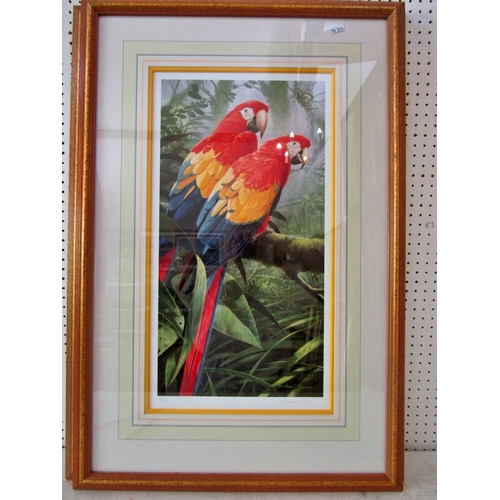 128 - Adrian C. Rigby (Contemporary) - Three signed limited edition prints of birds of paradise: Parrots (... 