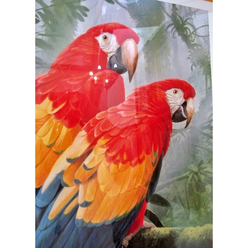 128 - Adrian C. Rigby (Contemporary) - Three signed limited edition prints of birds of paradise: Parrots (... 