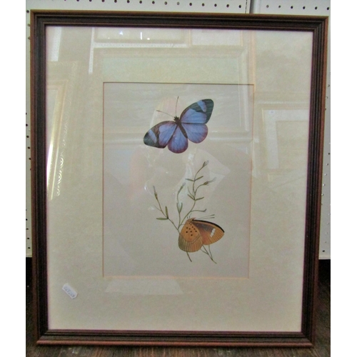 145A - Twelve framed prints of botanical and insect studies, together with an embroidery of a lady in a gar... 