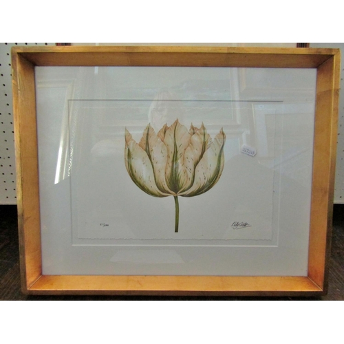 145A - Twelve framed prints of botanical and insect studies, together with an embroidery of a lady in a gar... 