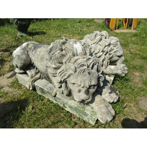 2108 - A matched pair of weathered cast composition stone recumbent lions after Knova, slight variation in ... 