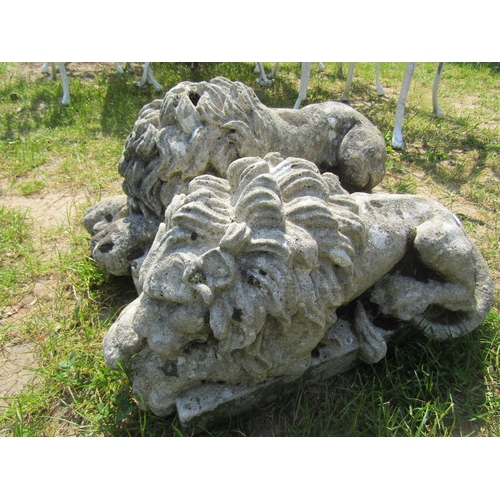 2108 - A matched pair of weathered cast composition stone recumbent lions after Knova, slight variation in ... 