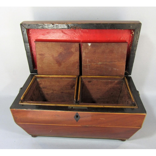 1514 - A mahogany Regency sarcophagus shaped tea caddy with satin wood stringing, with two caddies inside, ... 