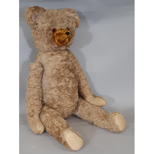 281 - Tall vintage teddy bear with large firmly stuffed body, long limbs, restoration to snout with stitch... 