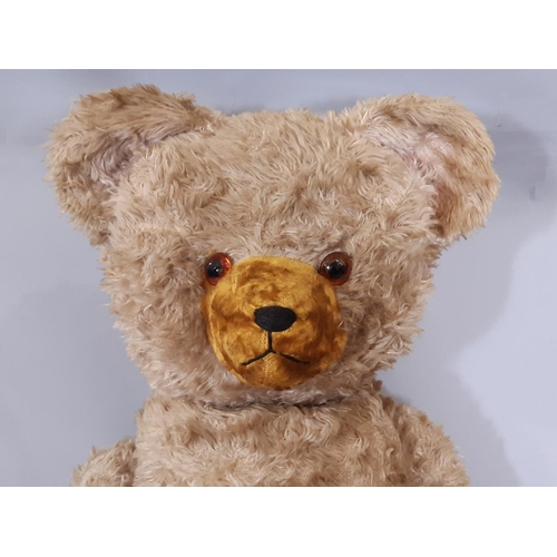 281 - Tall vintage teddy bear with large firmly stuffed body, long limbs, restoration to snout with stitch... 