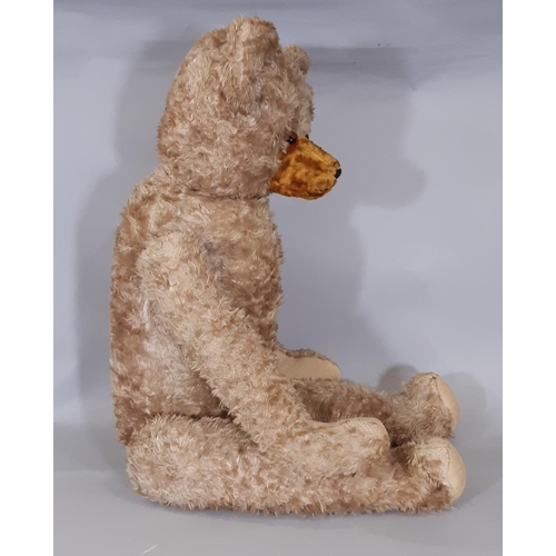 281 - Tall vintage teddy bear with large firmly stuffed body, long limbs, restoration to snout with stitch... 