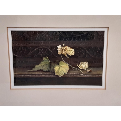 13 - Ann Mumford (Contemporary) - Two watercolour floral studies: 'Hops' 19 x 12 cm, and 'Eglantine Roses... 