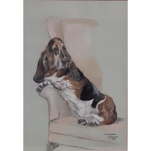 35 - Marjorie Turner (British, 20th Century) - Basset Hound (1989), pastel on paper, signed lower left, 4... 