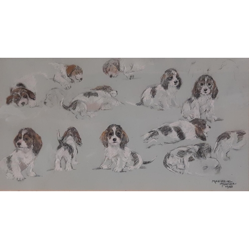 37 - Marjorie Turner (British, 20th Century) -  Pastel studies of puppies on paper (1989), signed and dat... 