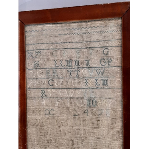 69 - 19th Century Needlepoint Tapestry Sampler, 19 x 44 cm, framed and glazed