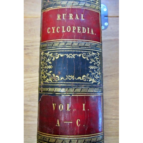 213 - Rural Cyclopaedia - Four Volumes, A-z, being a general dictionary of agriculture, 1849, with black a... 