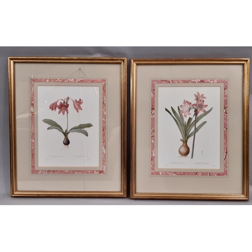 77 - Five Framed Prints of Flowers to Include: After E. Ladell - 'Still Life - Fruit and Flowers', from P... 