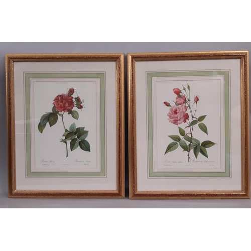 77 - Five Framed Prints of Flowers to Include: After E. Ladell - 'Still Life - Fruit and Flowers', from P... 