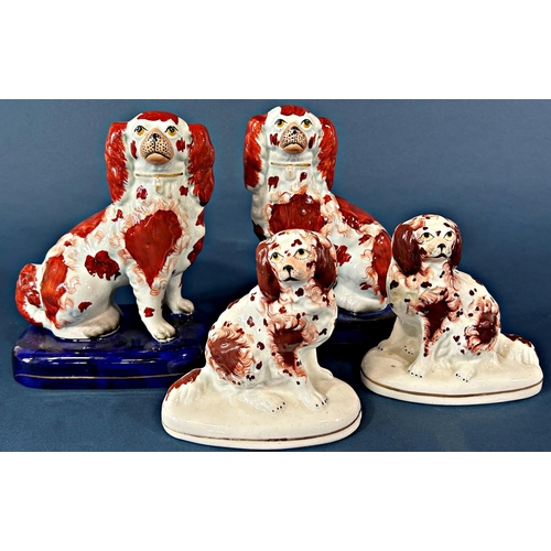 1082 - A pair of 19th century Staffordshire spaniels with rust red panels and a further pair of spaniels se... 