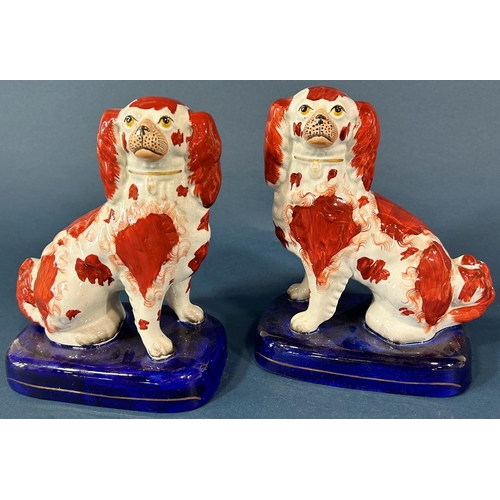 1082 - A pair of 19th century Staffordshire spaniels with rust red panels and a further pair of spaniels se... 