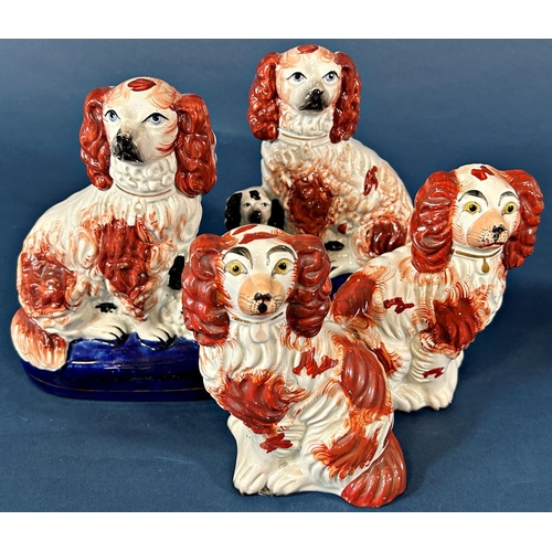 1089 - A pair of 19th century Staffordshire spaniels with rust coloured panels, further pair of spaniels an... 