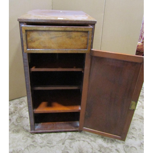 2267 - 19th century mahogany pedestal enclosed by a panelled door and frieze drawer, 46cm wide