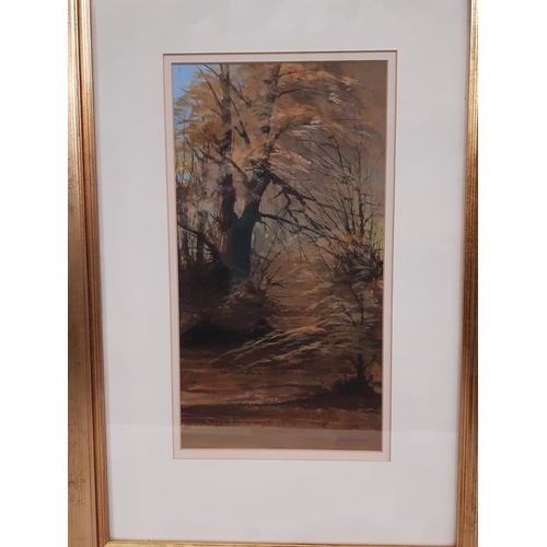 95 - Ian Shearman (Contemporary) - Two Paintings: 'Cranham Woods', acrylic on paper, with labels verso in... 