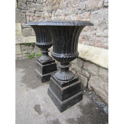 2102 - A pair of painted and weathered cast iron campana shaped garden urns, with flared rims, reeded and l... 