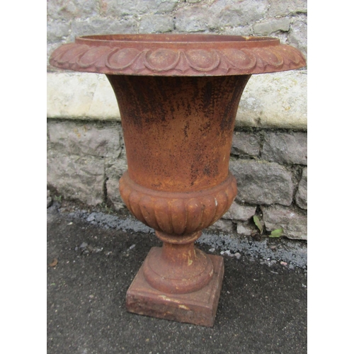 2107 - A weathered cast iron campana shaped garden urn with flared egg and dart rim, lobed bowl and square ... 