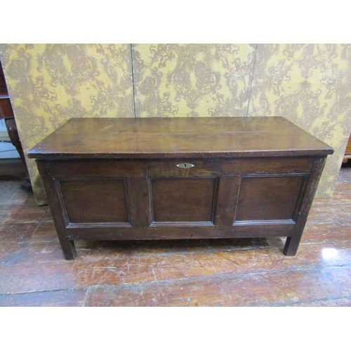 2595A - An 18th century oak panelled coffer with plank top