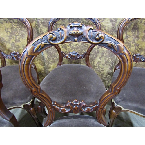 2173 - A set of six Victorian walnut balloon back dining chairs with carved and moulded frames, upholstered... 