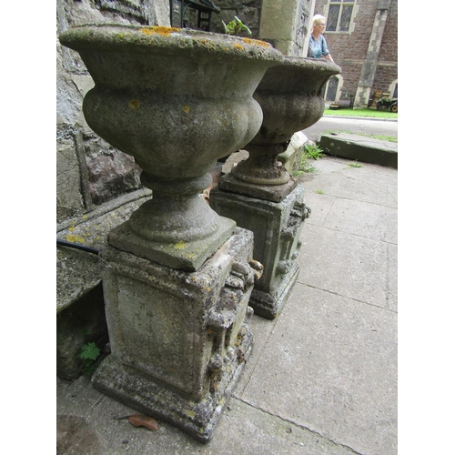 2058 - A pair weathered cast composition stone garden urns with circular lobed bowls and fixed socles, rais... 